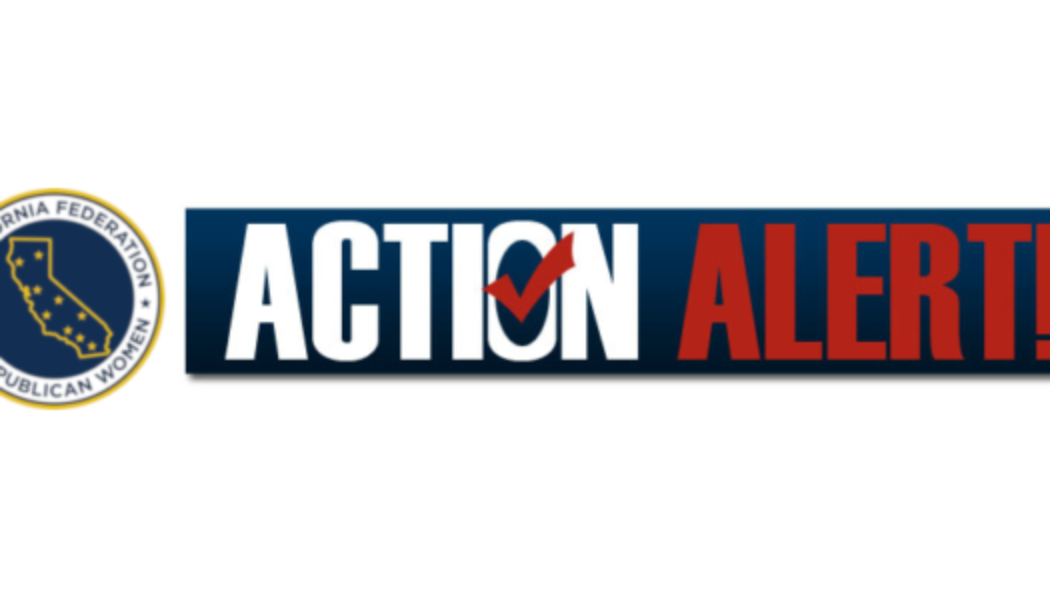 Action Alert – All In For Georgia!