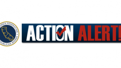 Action Alert – Watch Glenn Beck on ESG